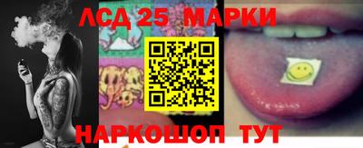 дурь Сланцы