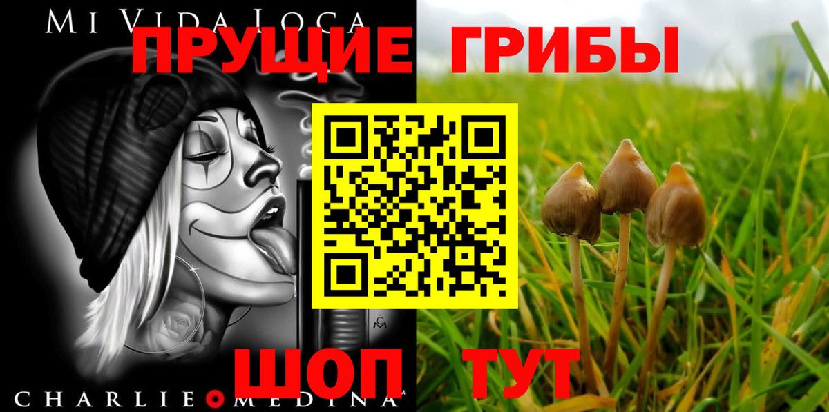 Нарткала  продажа наркотиков  Вход с VPN  Псилоцибиновые грибы прущие грибы  Галлюциногенные грибы мицелий 